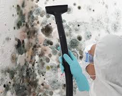 Best Black Mold Removal  in Ramsey, NJ